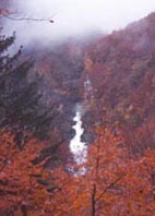 Automne jurassien :Photo Jean-Michel guyon